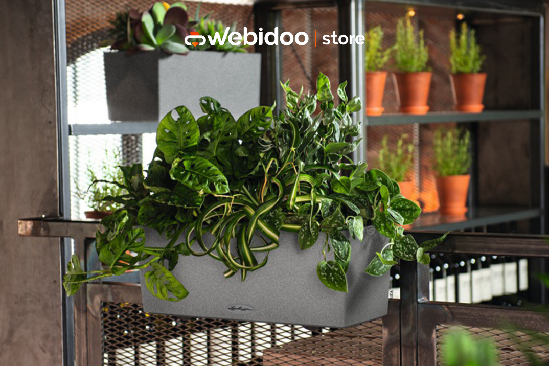 Vasi smart? Piante rigogliose senza "stress"