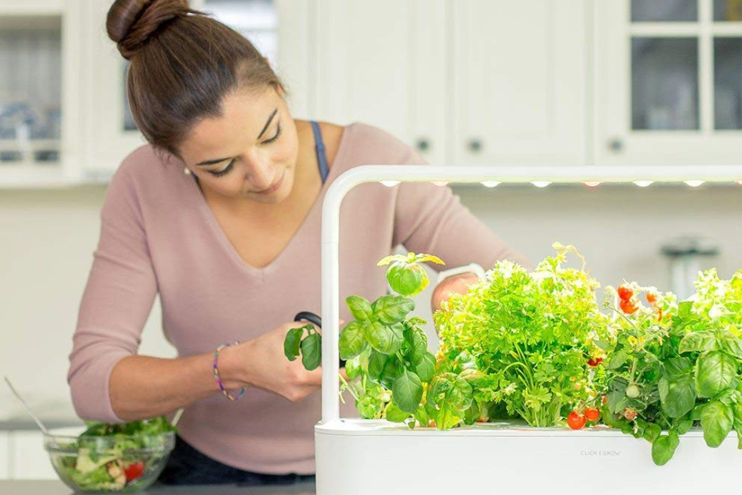 Coltivazione Idroponica Hi-Tech! Semplice e rapida