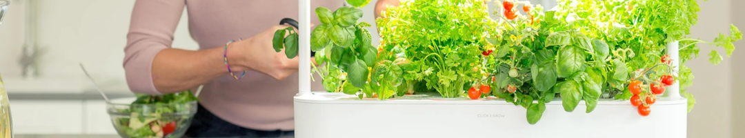 Smart Garden