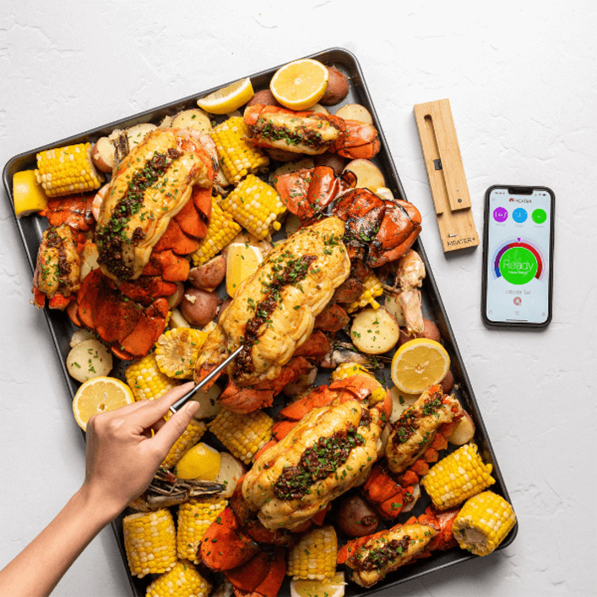 MEATER Plus Termometro da Cucina Wireless Smart