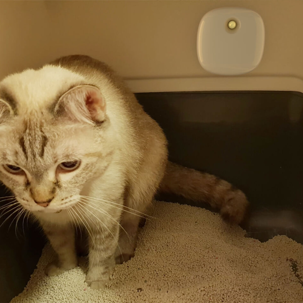 Petoneer Odor Eliminator Pro