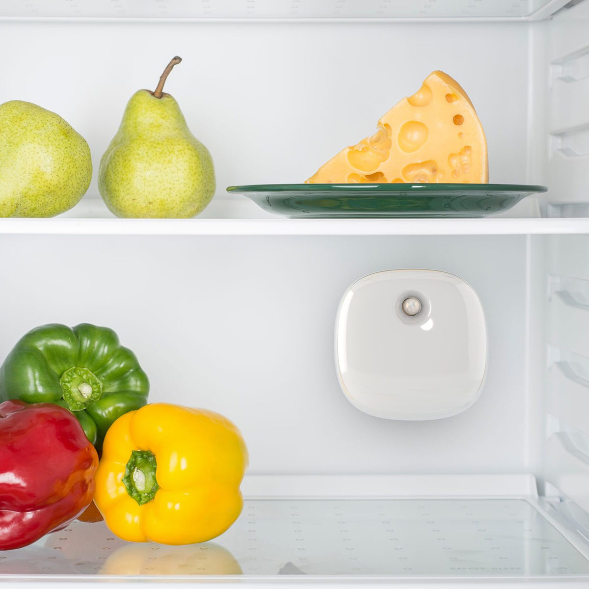 Petoneer Odor Eliminator Pro