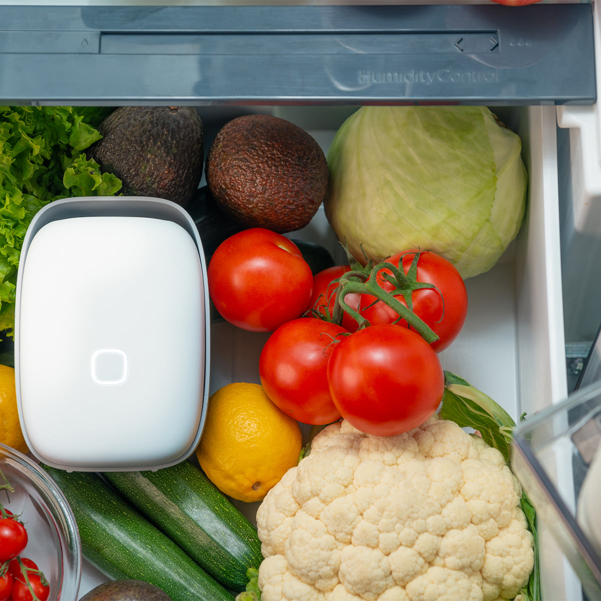 Vitesy Shelfy – Purificatore Smart per Frigorifero