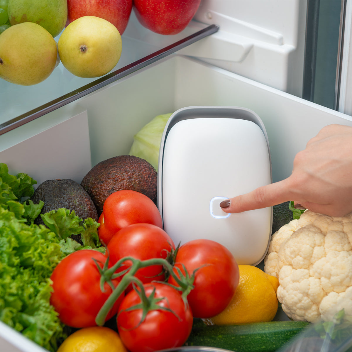 Vitesy Shelfy – Purificatore Smart per Frigorifero
