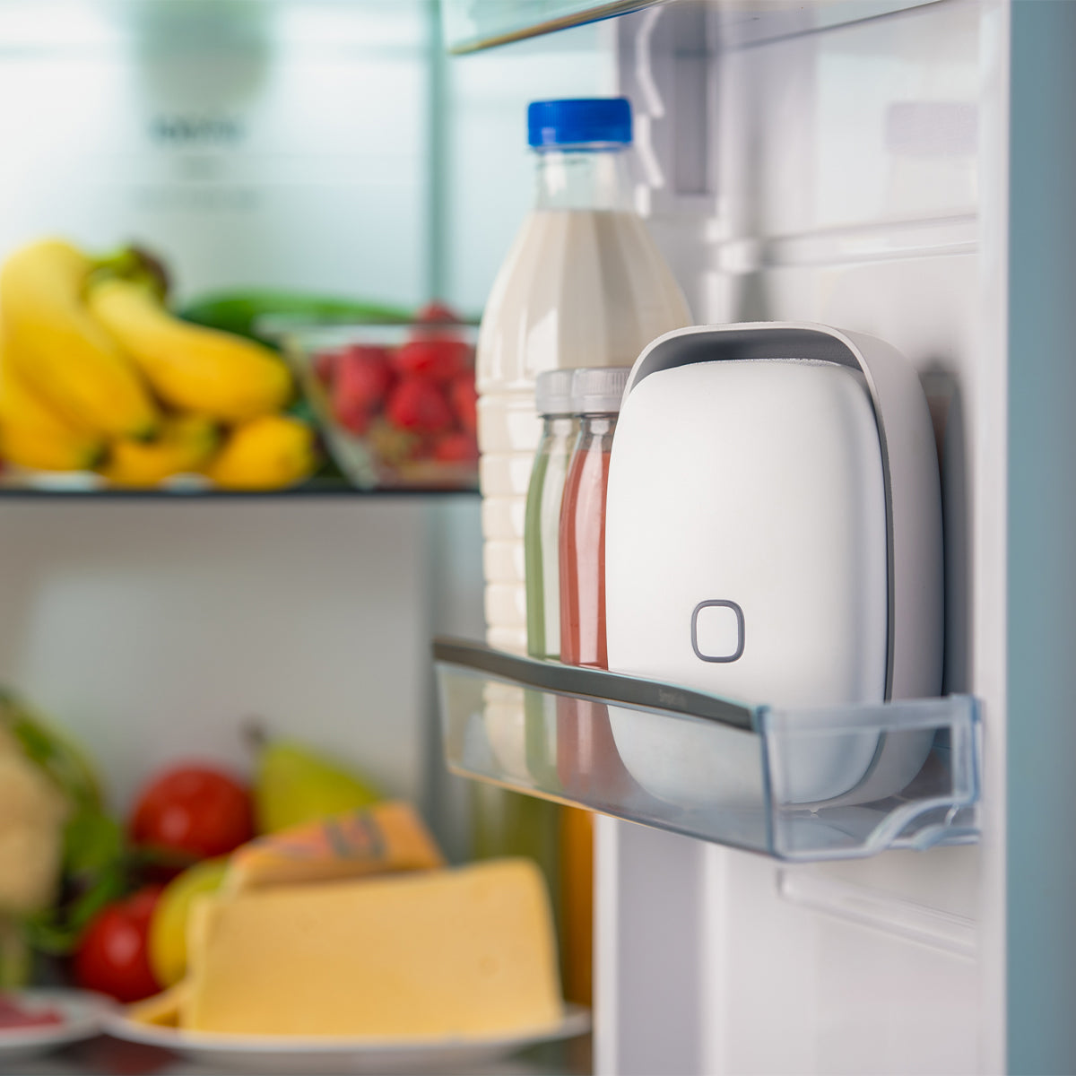 Vitesy Shelfy – Purificatore Smart per Frigorifero