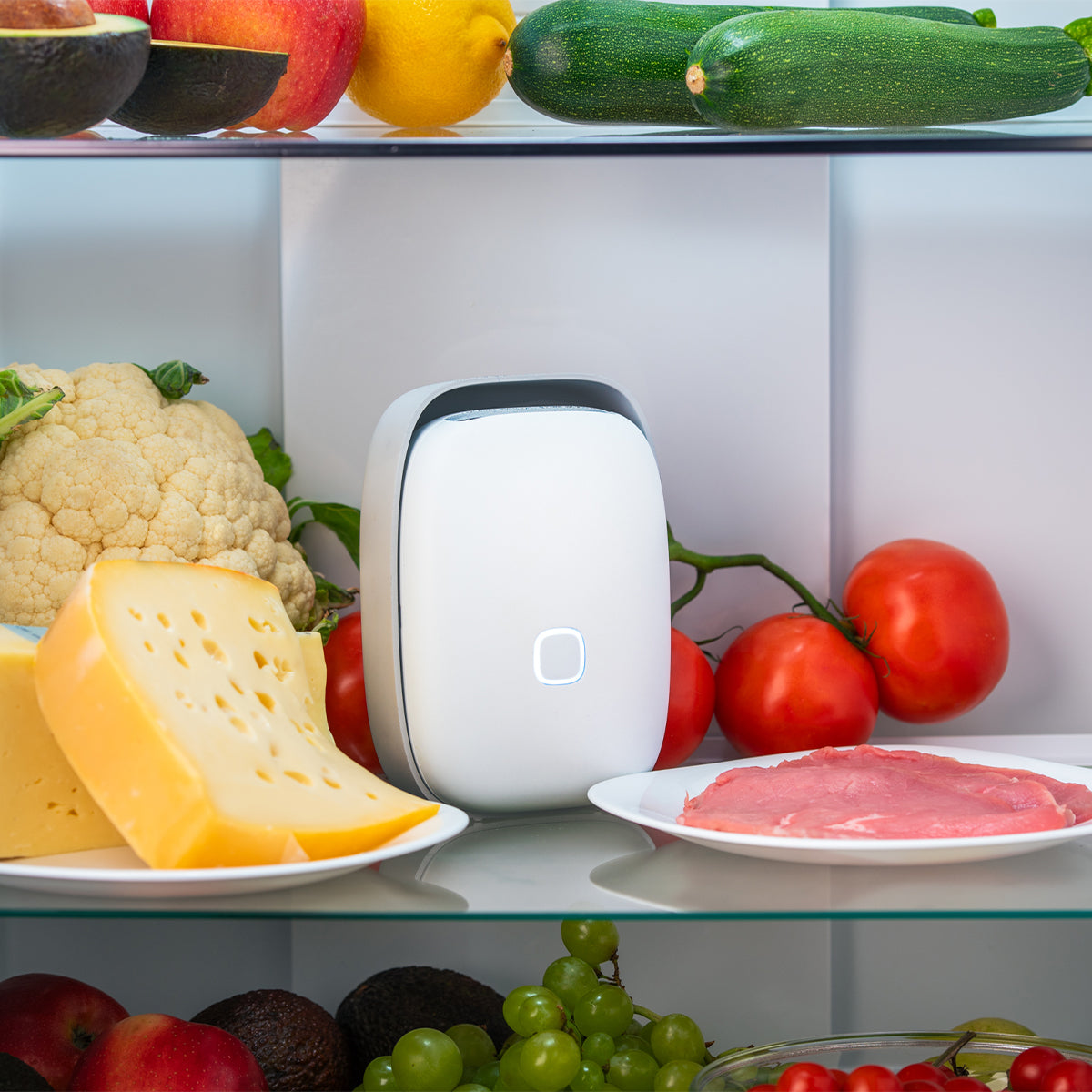 Vitesy Shelfy – Purificatore Smart per Frigorifero