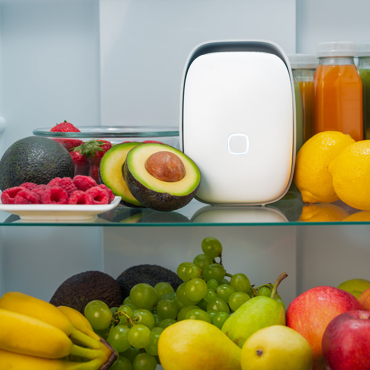 Vitesy Shelfy – Purificatore Smart per Frigorifero