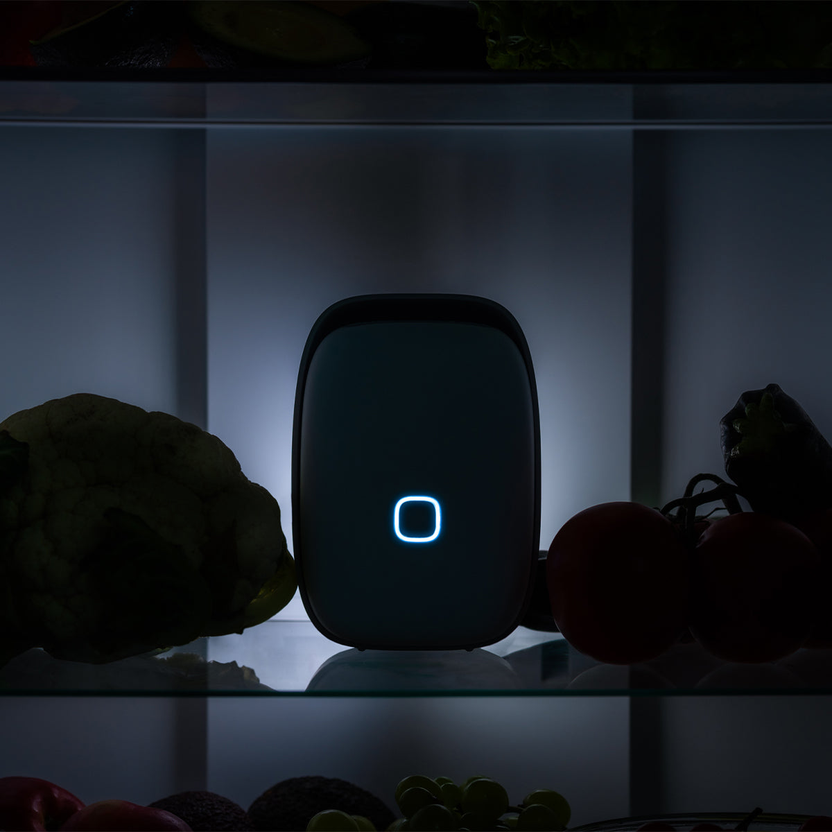 Vitesy Shelfy – Purificatore Smart per Frigorifero