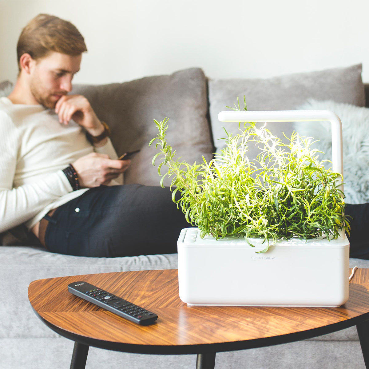 Click & Grow Smart Garden 3 – Giardino Smart da Interno con Luce Automatica