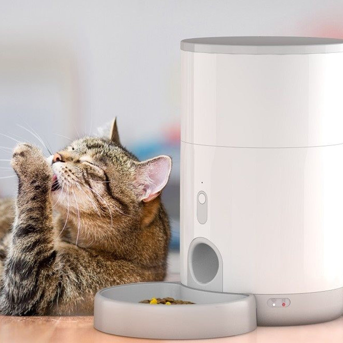 Petoneer Erogatore di crocchette Intelligente Nutri Mini Feeder