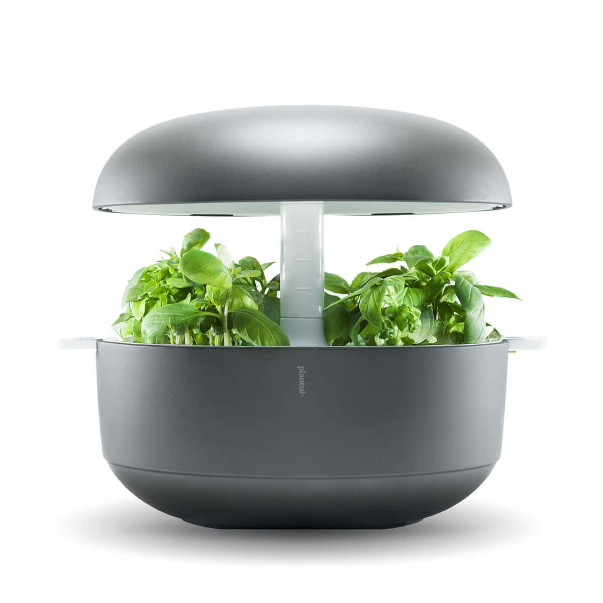 Plantui 6 Smart Garden Grey
