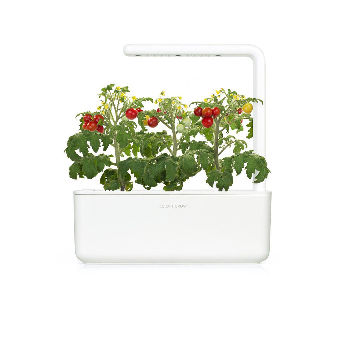 Click and Grow Pod mini Tomato