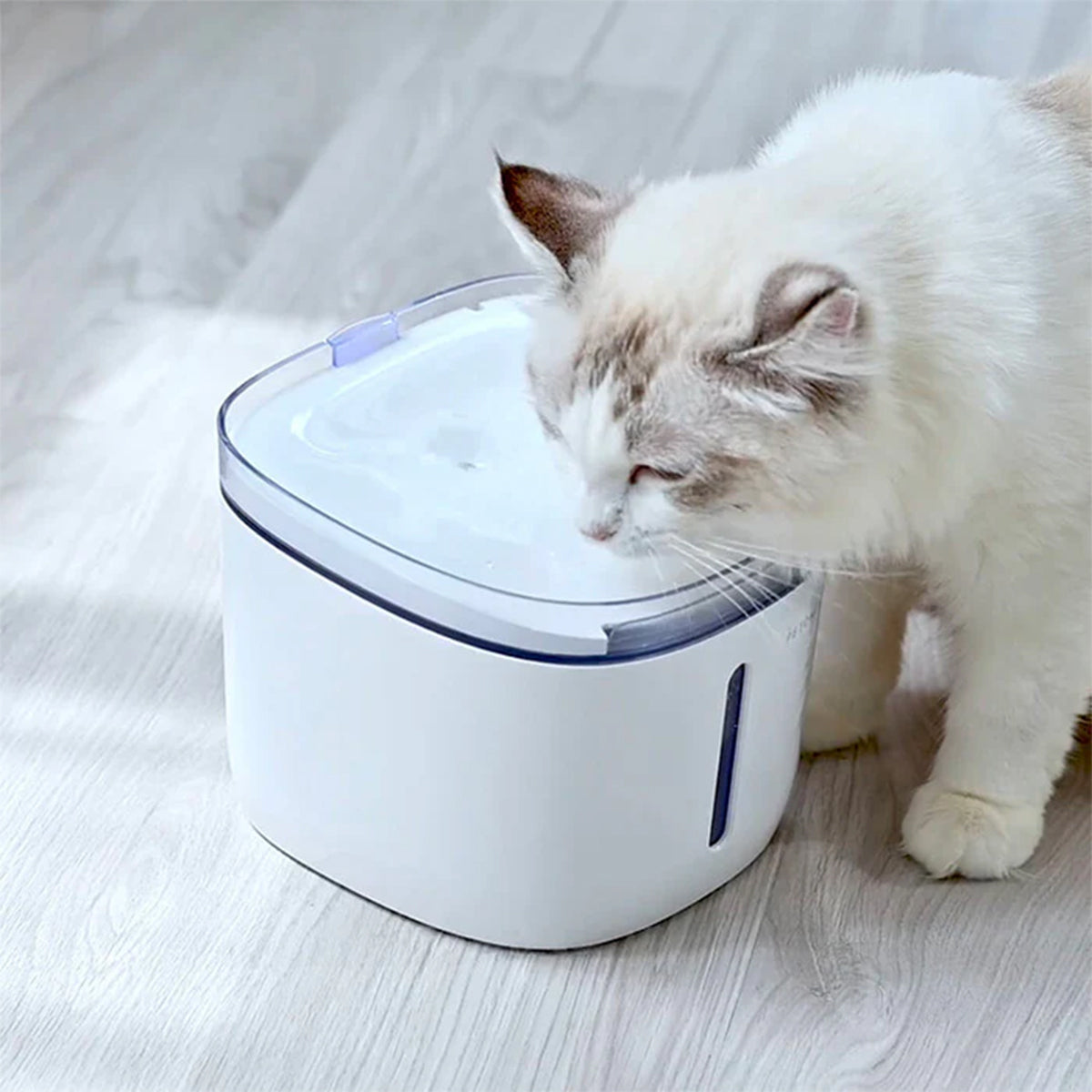 Petoneer Fontana Smart per animali Wi-Fi