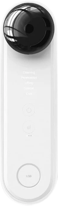InFace - 5 in 1 Facial Beauty Device
