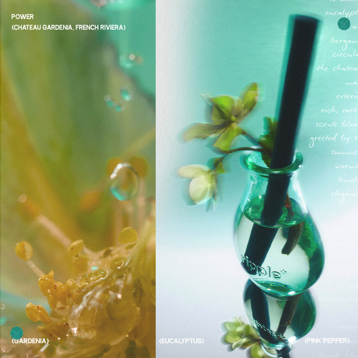 Ripple Diffusore Power REED