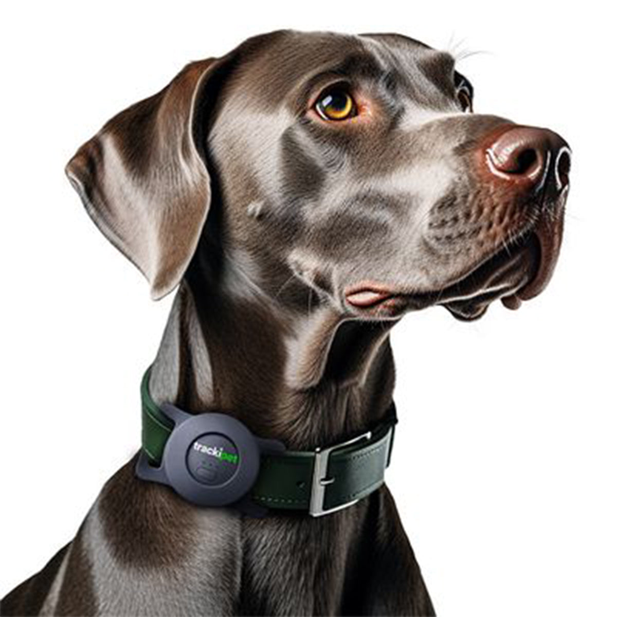 Trackipet GPS per Animali domestici