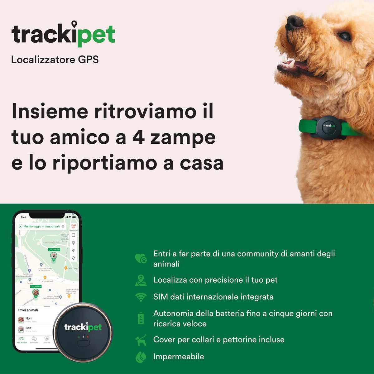 Trackipet GPS per Animali domestici