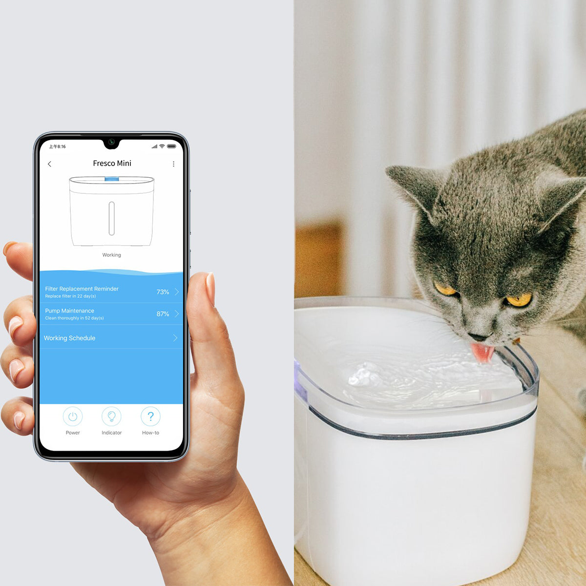 Petoneer Fontana Smart per animali Wi-Fi